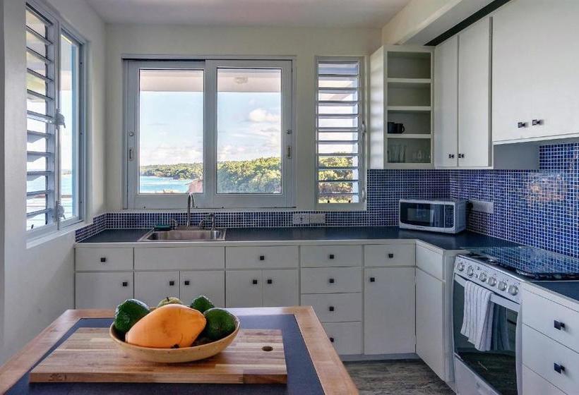 هتل Cloud9 Dominica Boutique