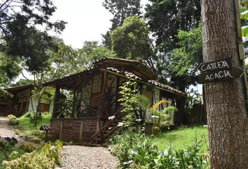 ホテル La Casa De Francois