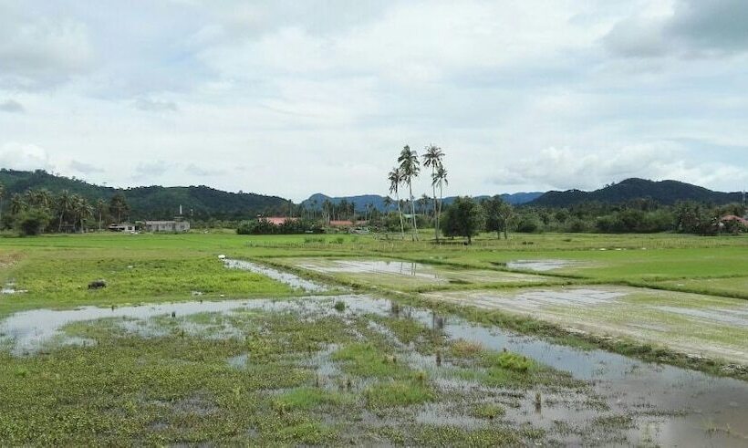 منتجع Destini Akef Villa