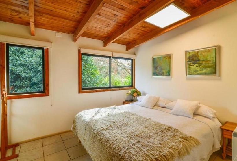 هاستل Hola Pucon