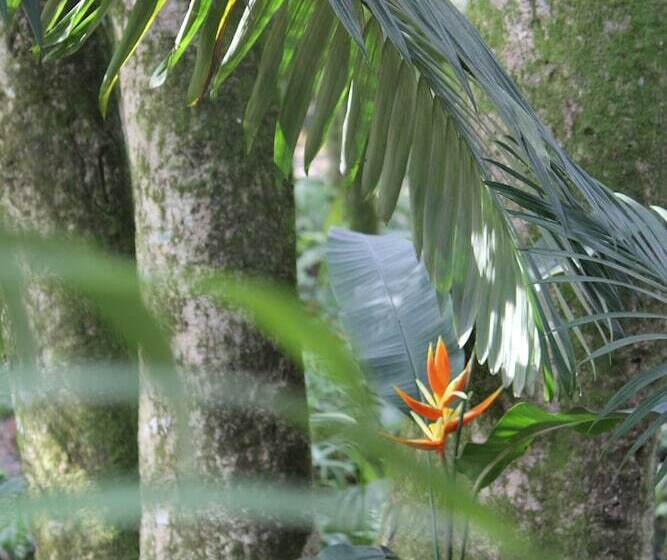 호텔 Edelweiss Pomerode