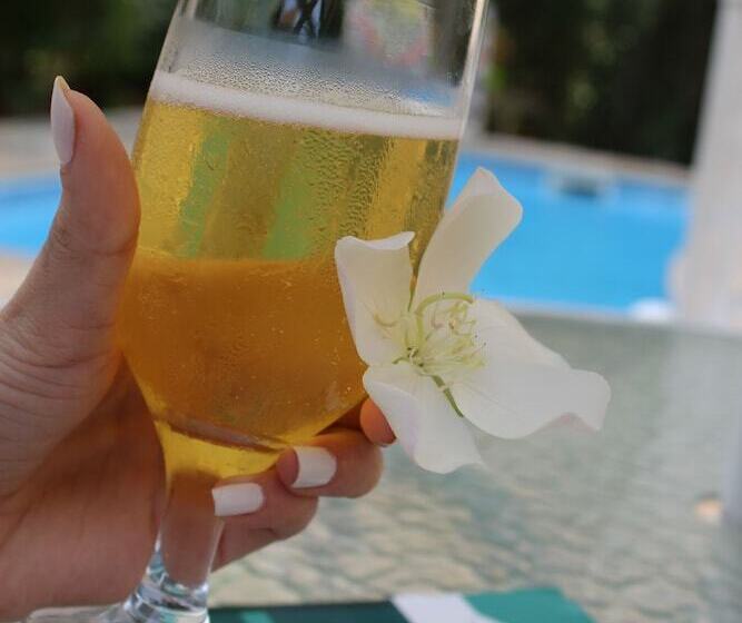 호텔 Edelweiss Pomerode