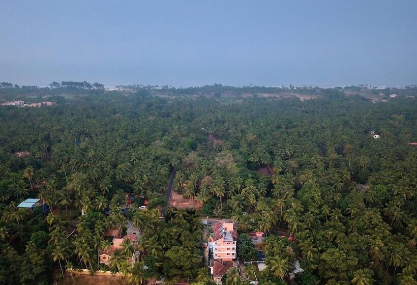 Hotelli Treehouse Nova