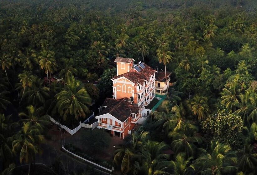 Hotelli Treehouse Nova