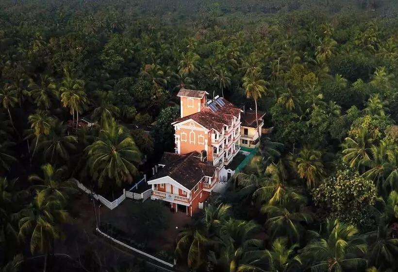 Hotel Treehouse Nova