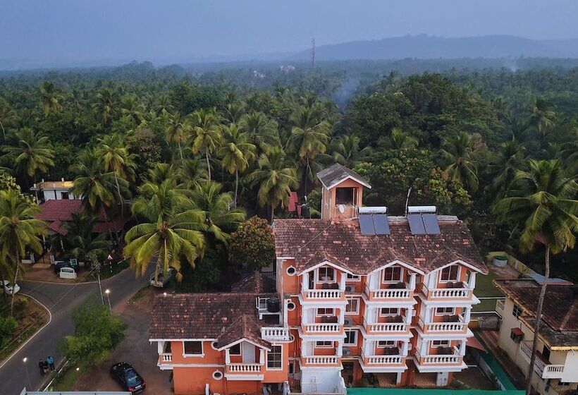 Hotelli Treehouse Nova