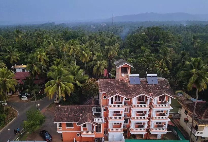 Hotel Treehouse Nova