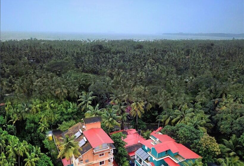 Hotelli Treehouse Nova