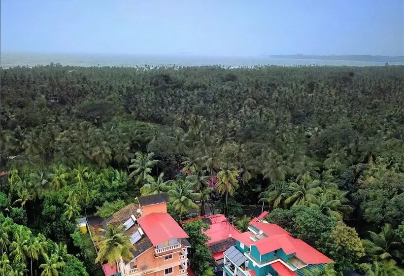 Hotel Treehouse Nova