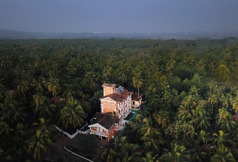 Hotelli Treehouse Nova