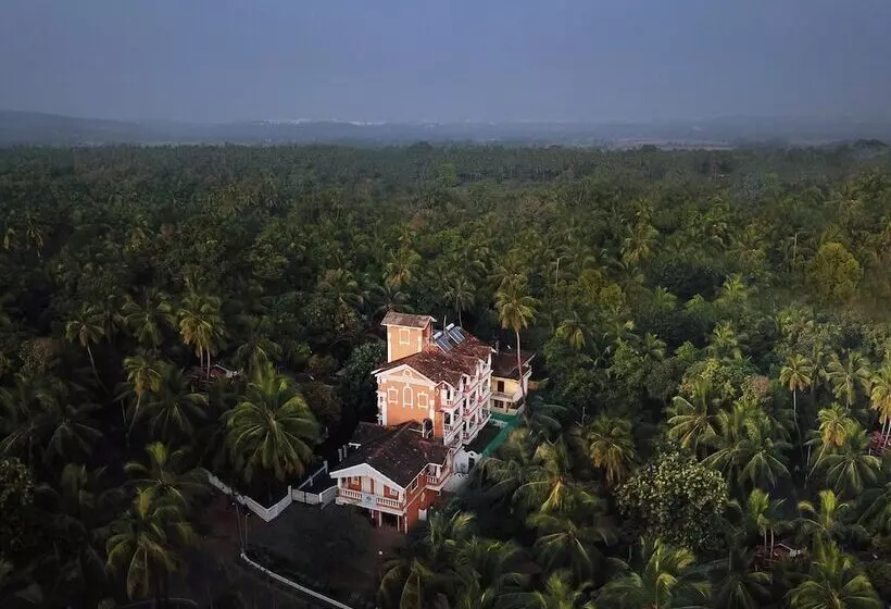 Hotel Treehouse Nova