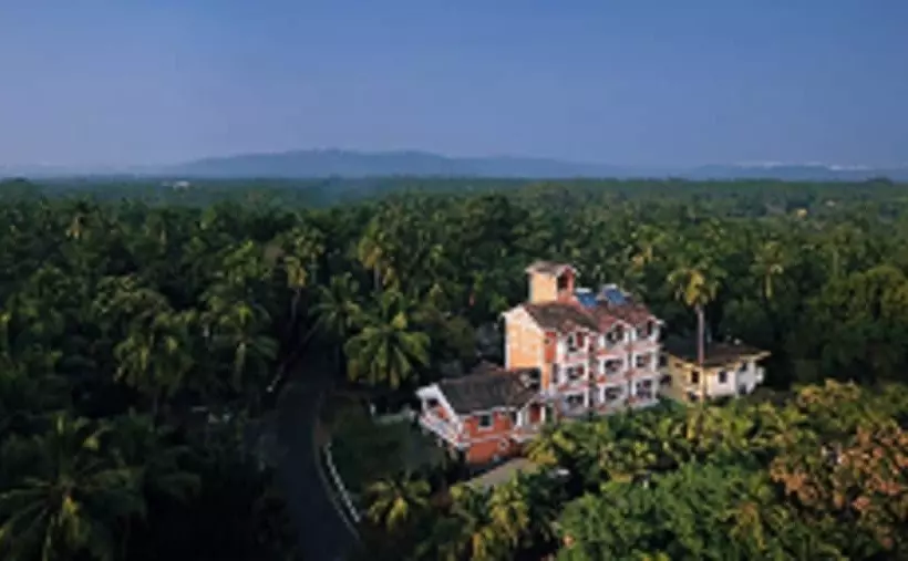 Hotel Treehouse Nova