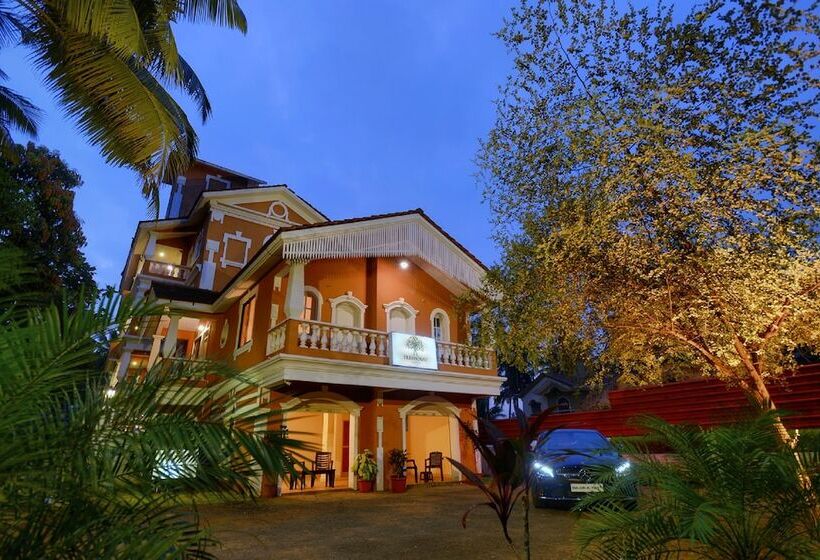 Hotelli Treehouse Nova