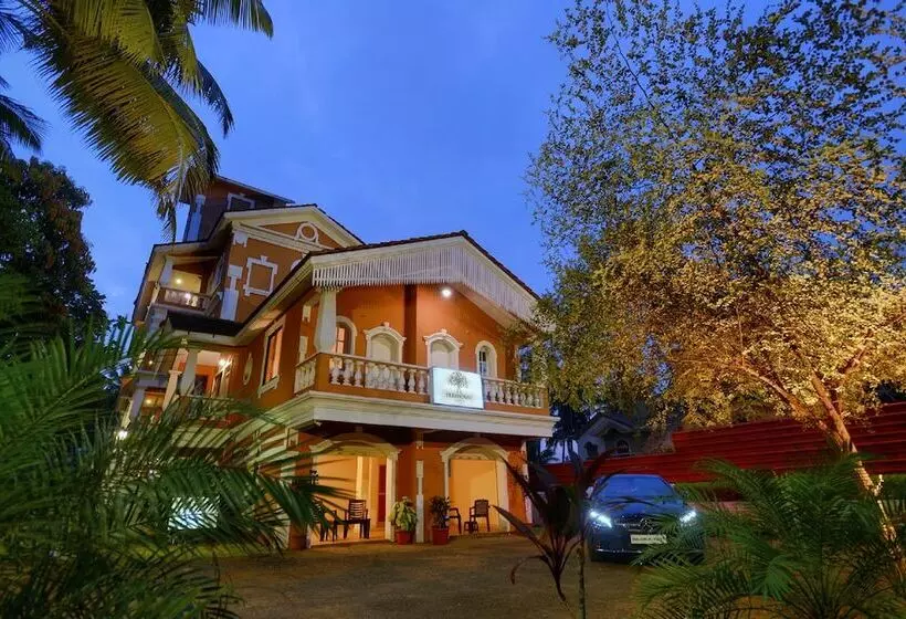 Hotel Treehouse Nova