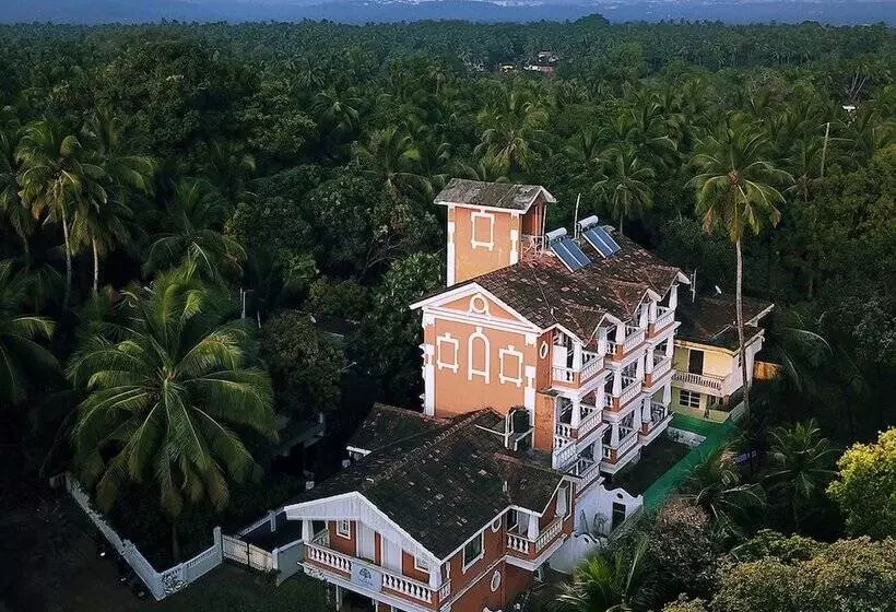 Hotel Treehouse Nova