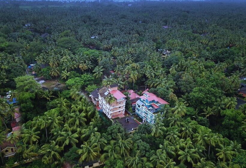 Hotelli Treehouse Nova