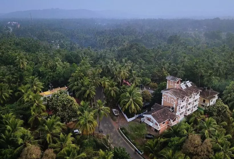 Hotel Treehouse Nova