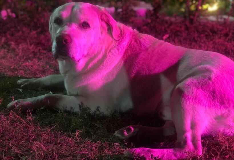 Astraal Resorts And Spa