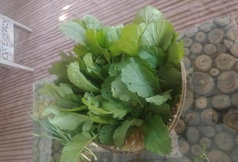 Astraal Resorts And Spa