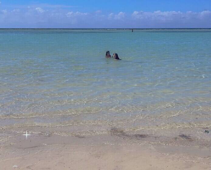 هتل Costa Linda Beach Boca Chica