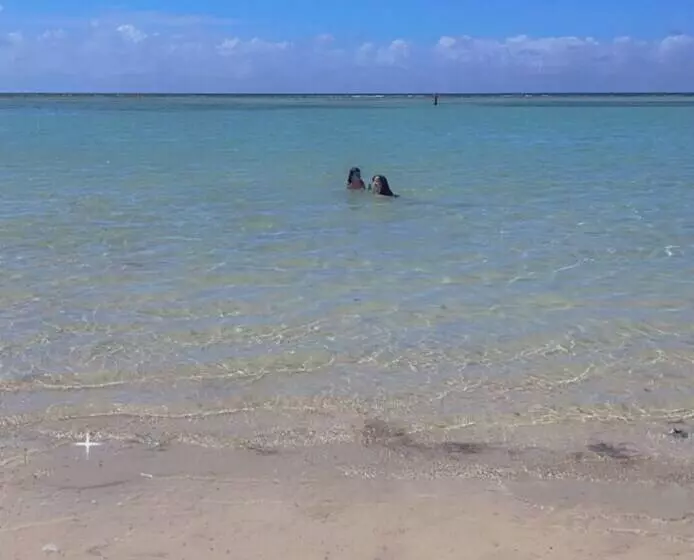 Hotelli Costa Linda Beach Boca Chica