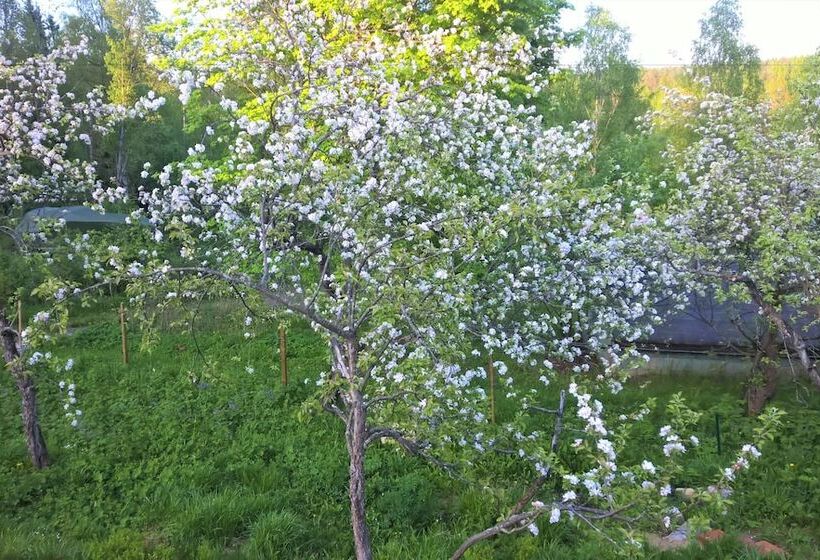 Villa Jokivarsi Bed & Breakfast