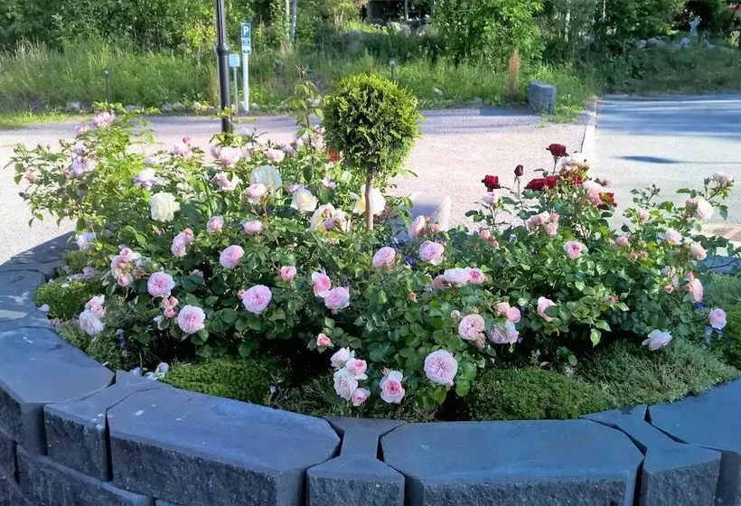 Villa Jokivarsi Bed & Breakfast