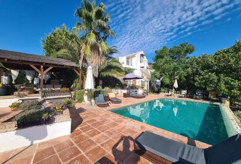 ベッドアンドブレックファースト Cortijo La Haza