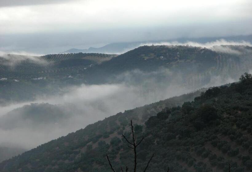 تختخواب و صبحانه Cortijo La Haza