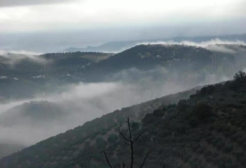 ベッドアンドブレックファースト Cortijo La Haza