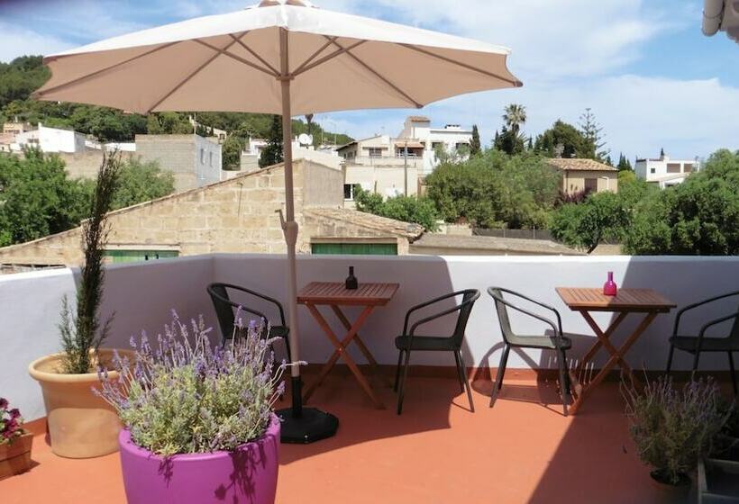 تختخواب و صبحانه Ses Terrasses