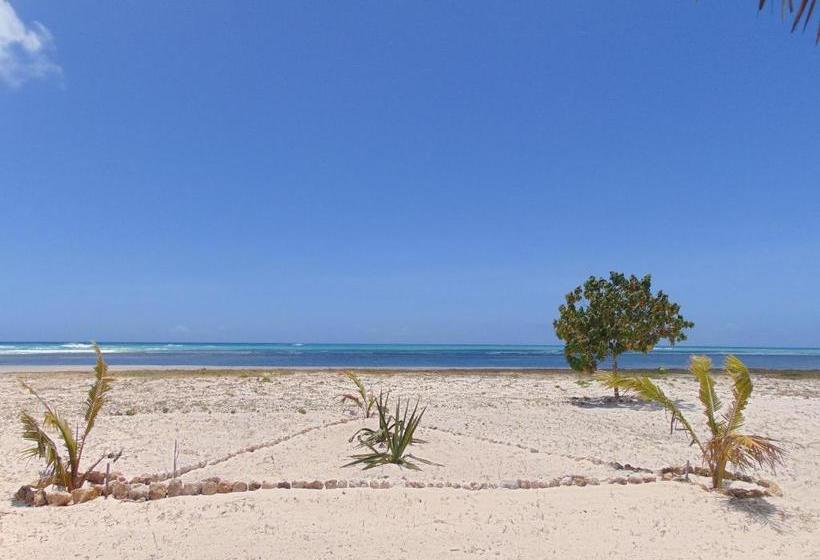 هتل Abakao Bungalow & Restaurant