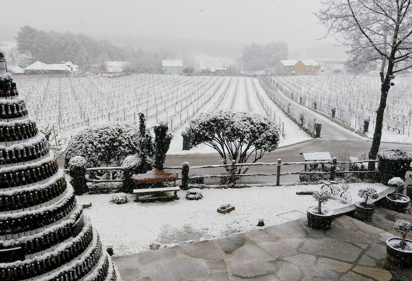 هتل Prada A Tope Palacio De Canedo