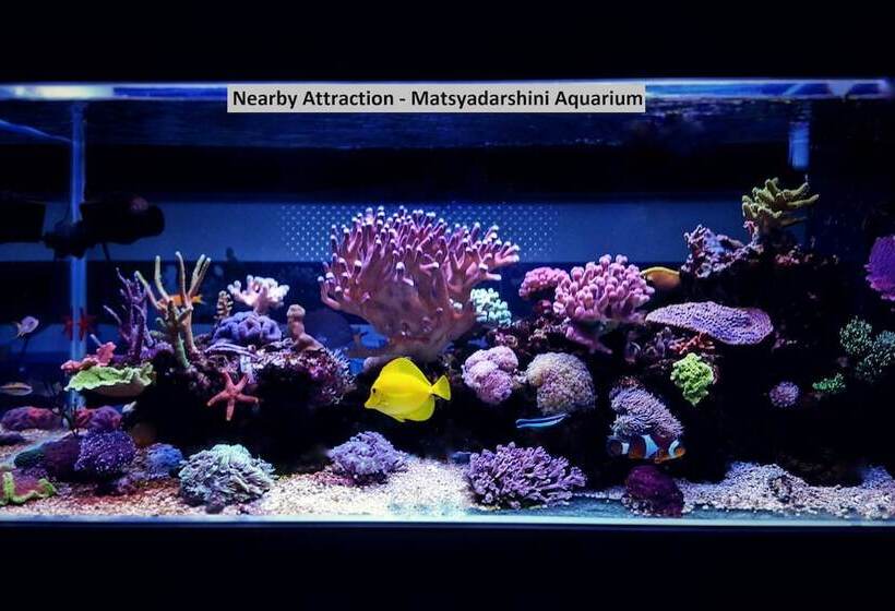 בית מלון כפרי Spot On 14323 Anupama