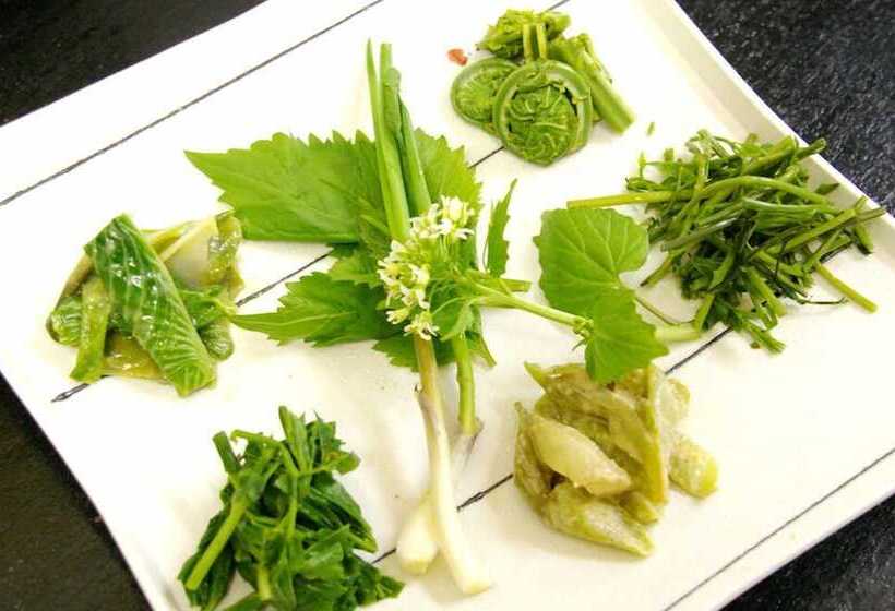 료칸 Matsunoyama Onsen Izumiya