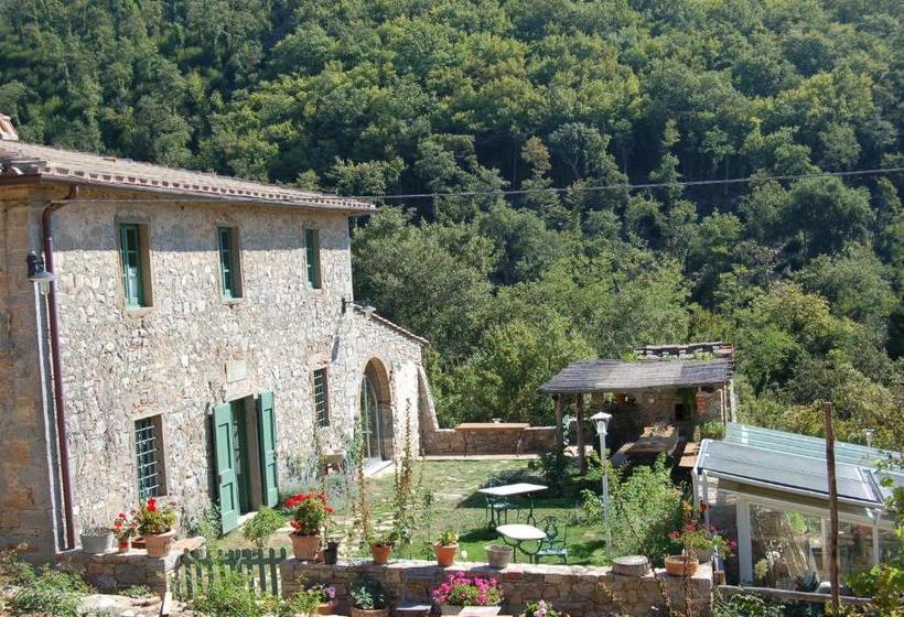 B&b Podere Il Colto