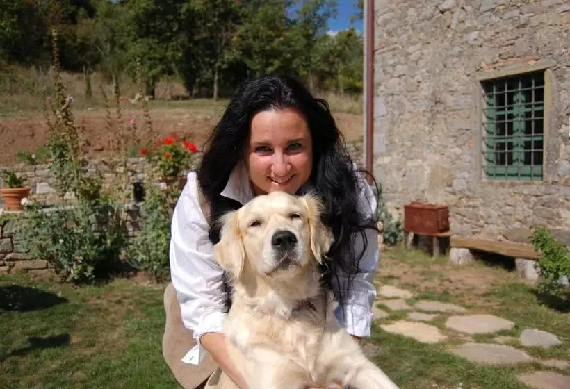 B&b Podere Il Colto