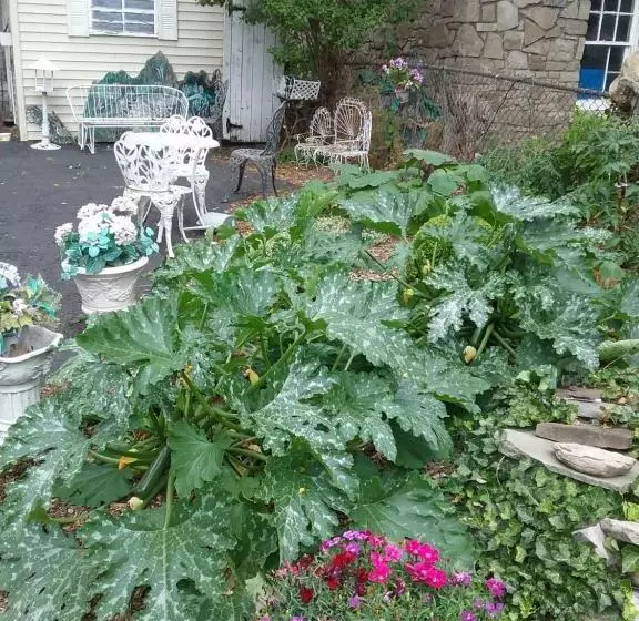 Hanover House Bed And Breakfast