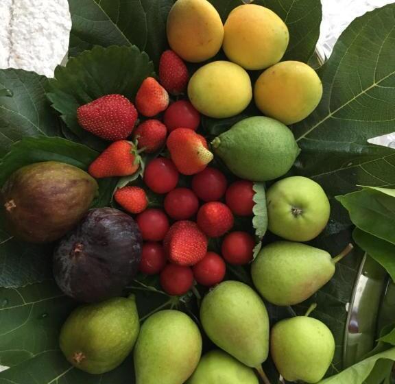 مبيت وإفطار Suite Amnesia