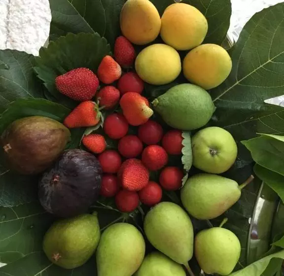 ベッドアンドブレックファースト Suite Amnesia