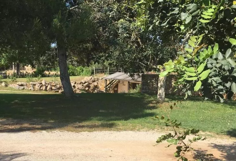 ベッドアンドブレックファースト Suite Amnesia