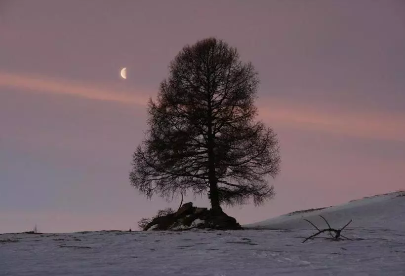 ホテル Almidylle Sabathy