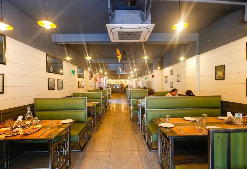 Отель Dolphin International