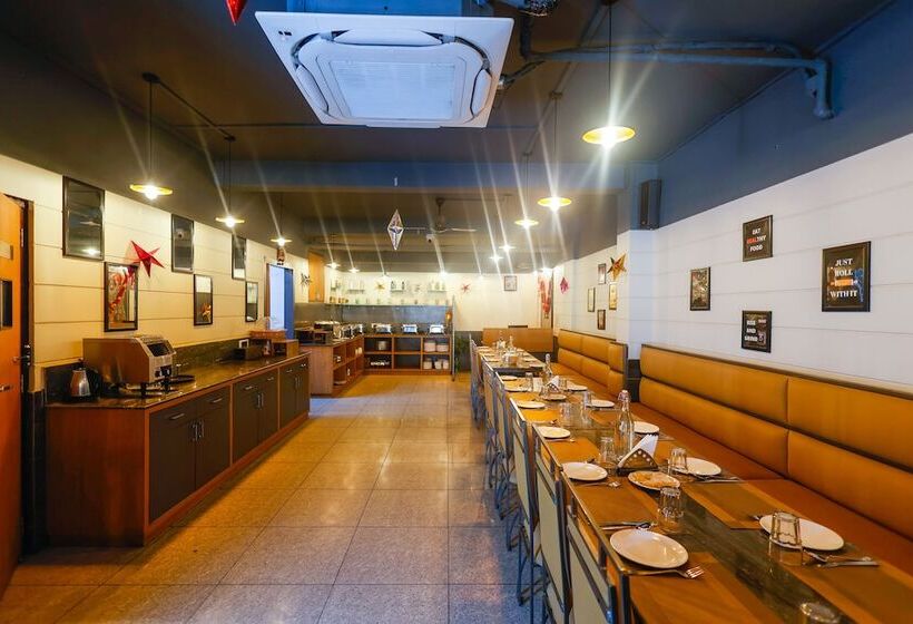 Отель Dolphin International