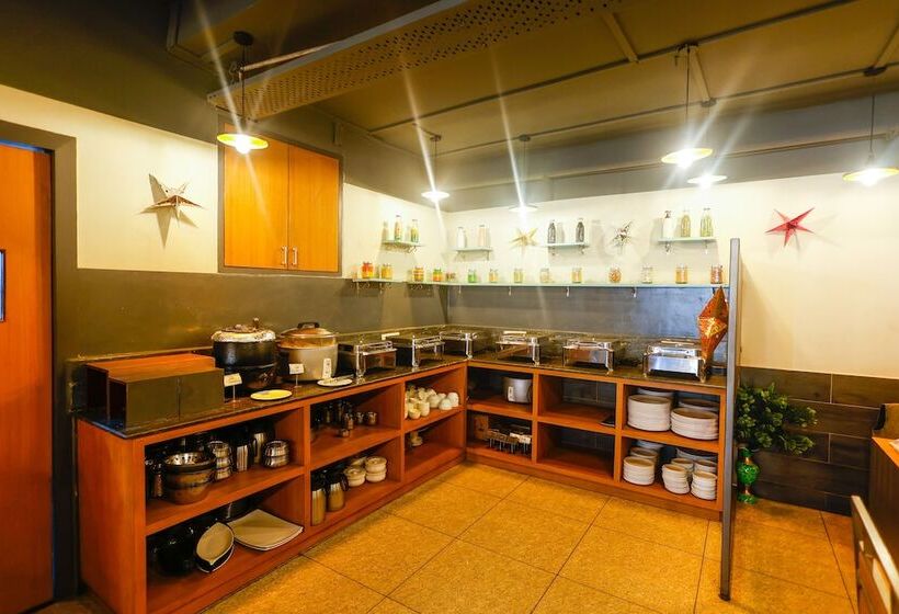 Отель Dolphin International