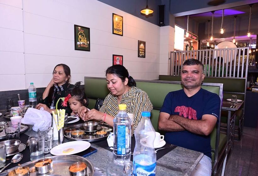 Отель Dolphin International