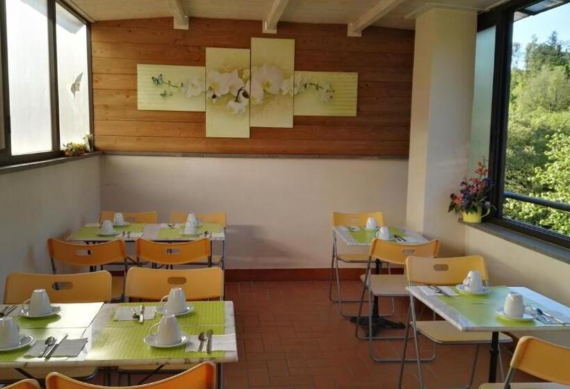 Nocleg ze śniadaniem Butterfly