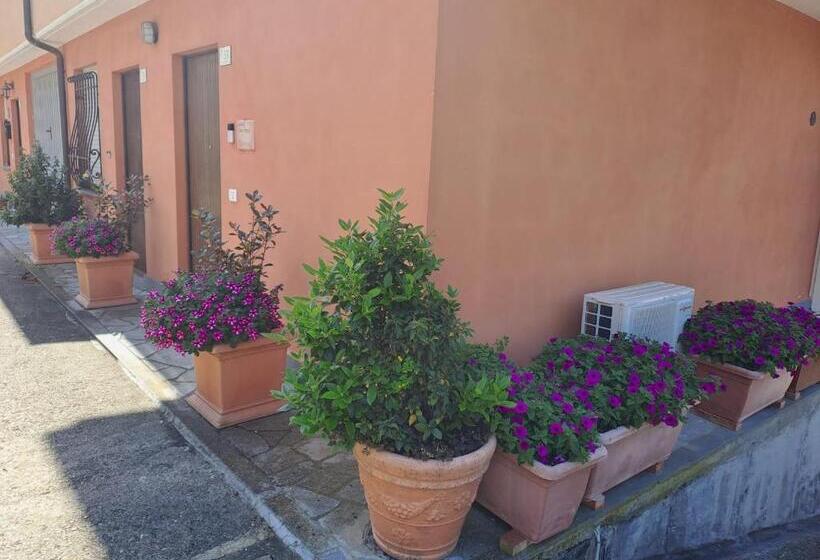 Bed and Breakfast Butterfly