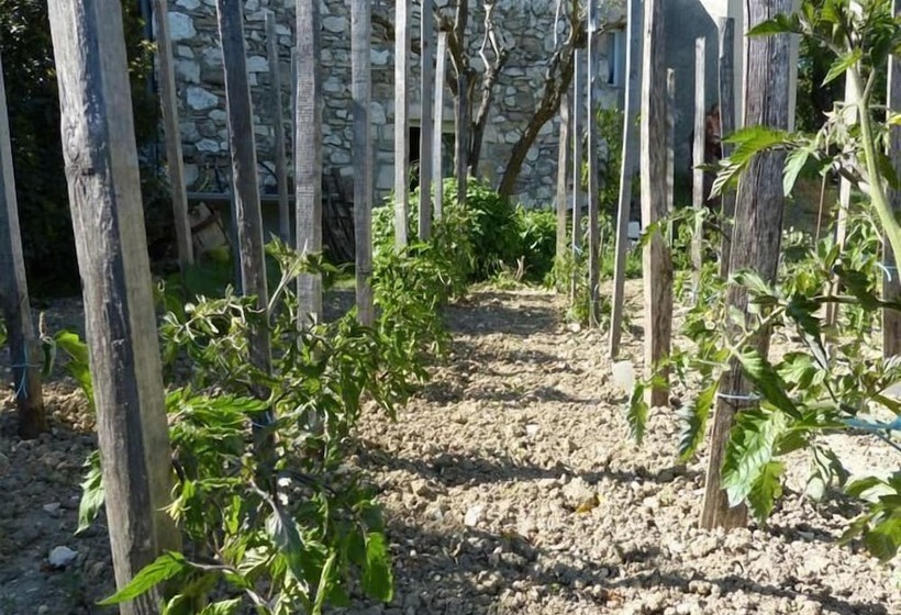 住宿加早餐  Chambres D Hotes Mas Fa Sua