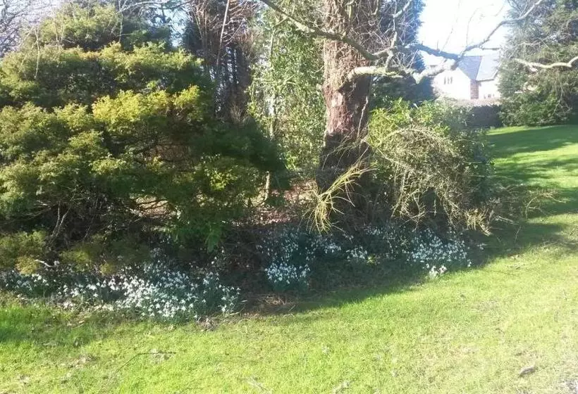 ベッドアンドブレックファースト Green Bank Farmhouse